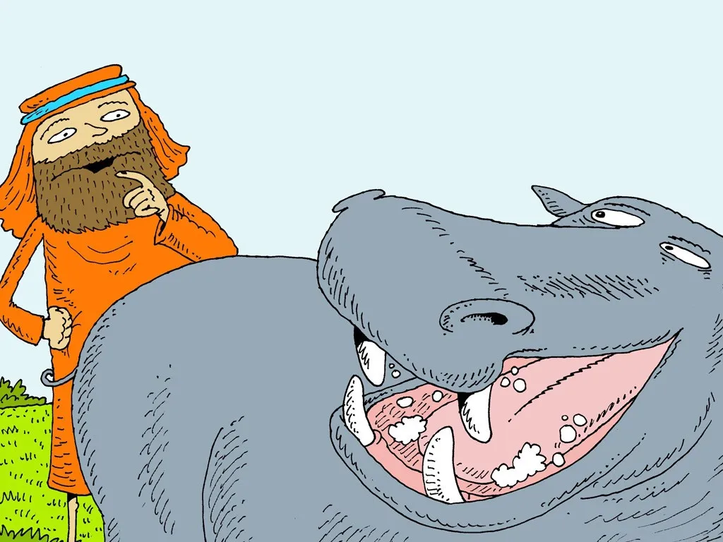 12 FB RG Noah Ark 1024 result